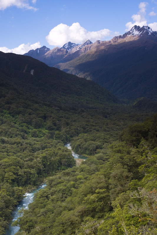 Mountains Above The Hollyford River